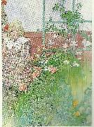 Carl Larsson stott- flicka vid spalier Spain oil painting artist